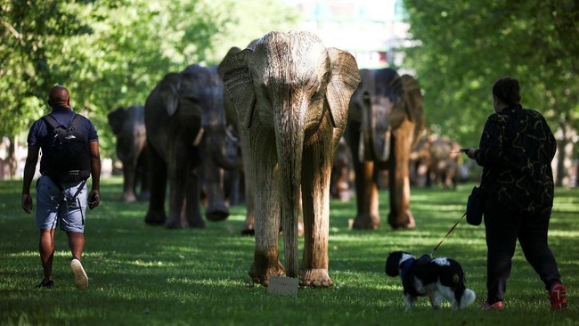 FOTO: 'Gajah-gajah' Pembawa Pesan di Sudut London