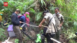 VIDEO: BBKSDA Sumut Lepasliarkan 5 Satwa di SM Siranggas
