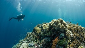 Pesona Wakatobi: Hidden Gem untuk Tenangkan Diri dan 'Healing'