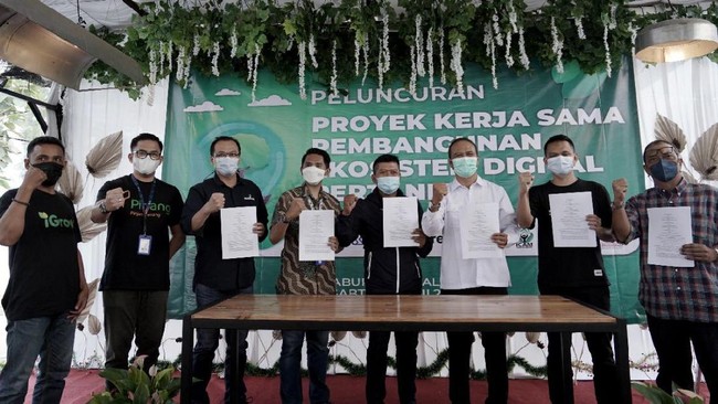 Dalam kolaborasi ini, BRI Agro mengadakan kerja sama pembiayaan, pengelolaan, dan penjualan pada industri pertanian dengan Telkom, iGrow, dan Kedai Sayur. 