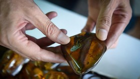 Studi Pecahkan Teka-teki Dinosaurus Terkecil Dunia