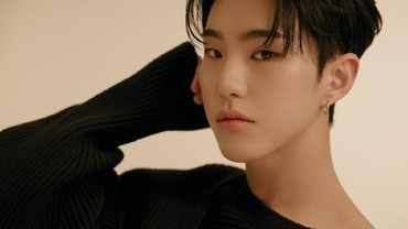 Lirik Lagu Stay - Hoshi SEVENTEEN
