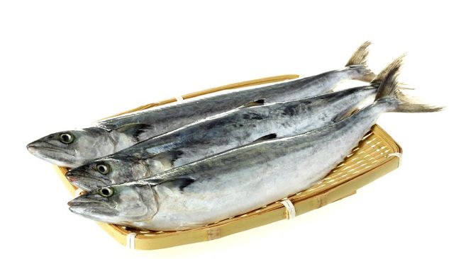 Studi terbaru menunjukkan makan ikan dapat menjaga kesehatan otak. Konsumsi ikan dikaitkan dengan risiko stroke yang lebih rendah.