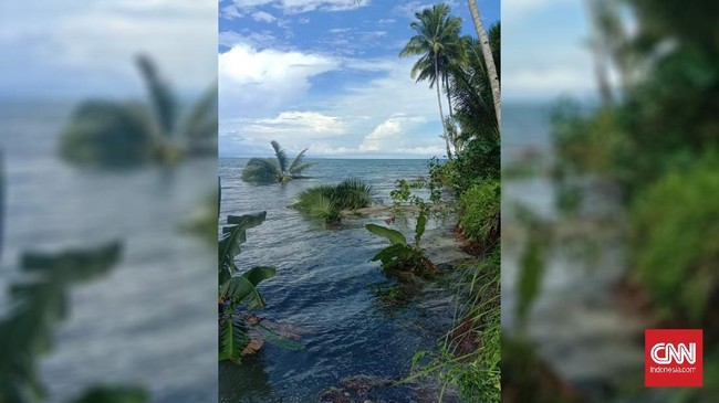 Hasil observasi BMKG terjadi kenaikan permukaan air laut setinggi setengah meter usai kejadian gempa di Maluku Tengah.