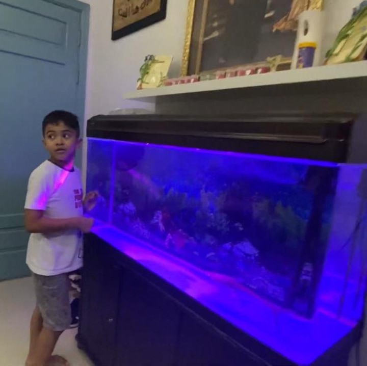 <p>Farid juga memiliki sebuah aqurium besar di dalam ruangan nih. Awalnya, aquarium itu diisi dengan 6 ikan, namun kini hanya tersisa satu. (Foto: YouTube Khairul azam alfarizi)</p>