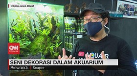 VIDEO: Seni Dekorasi Dalam Akuarium