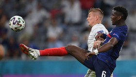 Viral Video Pogba Singkirkan Botol Bir Usai Prancis Menang