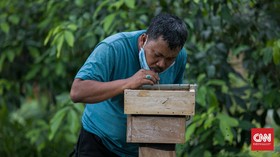 FOTO: Mengintip Budidaya Lebah Madu di Hutan Kota Srengseng