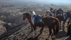 PPKM Level 3, TN Bromo Tengger Semeru Ditutup Lagi
