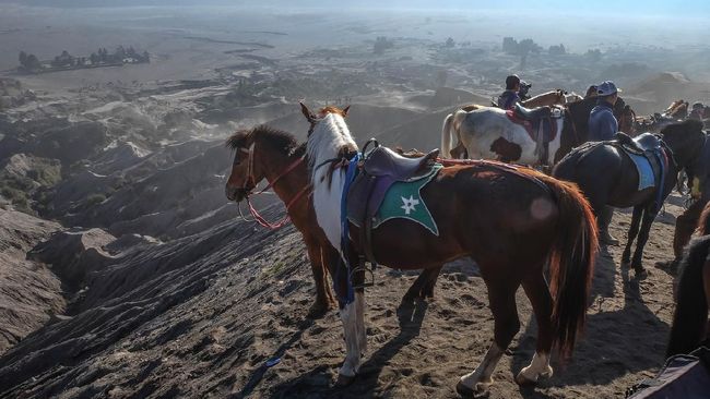 tak-perlu-ke-timur-tengah-5-wisata-gurun-ini-ada-di-indonesia