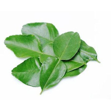 Daun Rempah Asal Indonesia Ini Jadi Harta Karun di Jepang dan Belanda, Apa Itu?