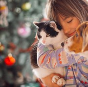 Kamu Pecinta Anjing atau Kucing? Yuk, Kenali Kepribadian Seseorang Lewat Hewan Peliharaannya