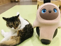 Pet Store Paling Gemas Sedunia, Bisa Peluk Robot Lucu dan Kucing