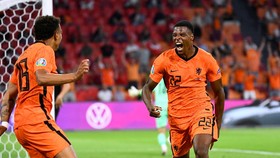 Jadwal 16 Besar Euro 2020: Belanda vs Ceko