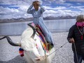 FOTO: Wisatawan ke Tibet Meningkat di Masa Pandemi Covid-19