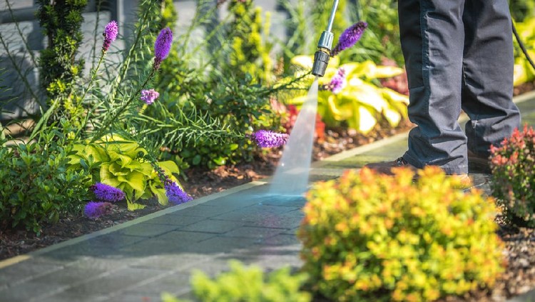 Pressure Washing Garden Path Closeup Photo. Cleaning Backyard Garden Cobble Pathway.
