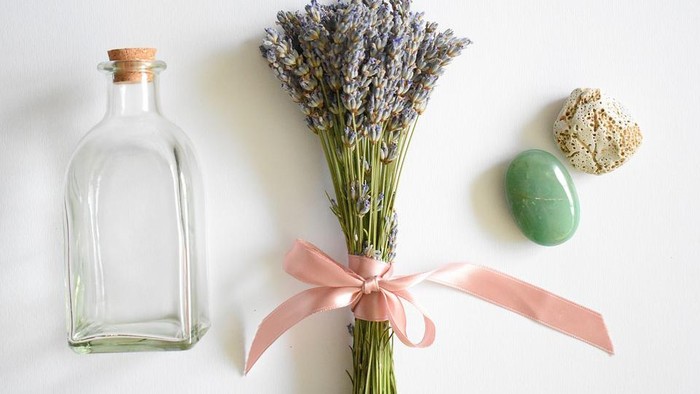 Rekomendasi 5 Tanaman Pengusir Nyamuk yang Wangi dan Bisa Mempercantik Rumah