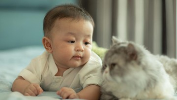 PERTOLONGAN PERTAMA DIGIGIT KUCING