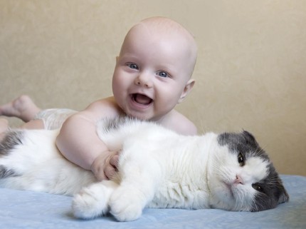 7 Pertolongan Pertama pada Bayi Digigit Kucing agar Tak Rabies