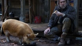 Nicolas Cage Berkawan dengan Babi di Film Baru