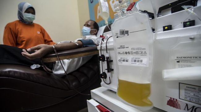 Ahli Suarakan Donor Plasma, Bantu Pasien Covid Ringan-Sedang