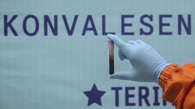 Penipuan dan bisnis ilegal donor plasma konvalesen di Jatim diungkap oleh PMI. Pelaku ada yang menjual hingga puluhan juta kepada yang membutuhkan.
