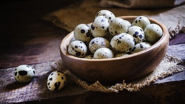 ANEKA RESEP TELUR PUYUH