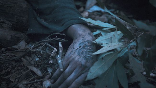 Saengsacho merupakan tanaman misterius yang bisa membangkitkan orang mati, dikisahkan dalam serial Kingdom: Ashin of the North.