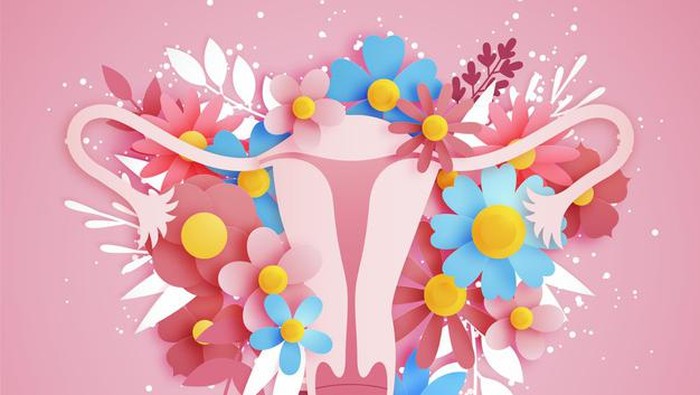 Makanan yang Bisa Bikin Vagina Sehat dan Bebas Bau Makanan yang Bisa Bikin Vagina Sehat dan Bebas Bau