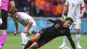 Belanda vs Ceko: Duel Pertahanan Kuat di 16 Besar Euro 2020