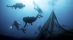 Heboh Penemuan Tulang Ikan Raksasa di Sulsel
