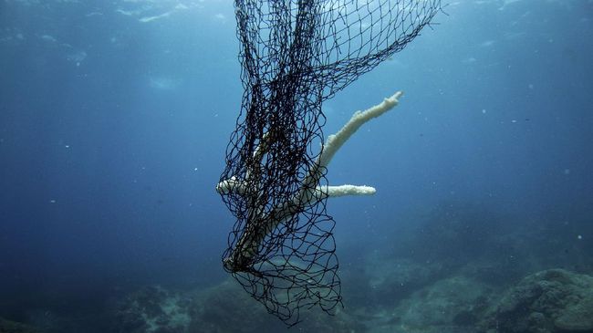 "Jaring hantu" berupa sampah jaring ikan yang terbuang di lautan, lalu mencekik terumbu karang dan ikan yang hidup di sekitarnya.