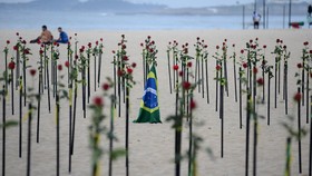 FOTO: Ratusan Mawar untuk 500 Ribu Kematian Covid di Brasil