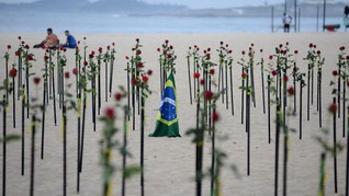 FOTO: Ratusan Mawar untuk 500 Ribu Kematian Covid di Brasil