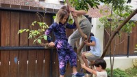 <p>Pepohonan di area halaman rumah juga menjadi spot favorit anak-anak Zaskia untuk bermain. Tengok saja tingkah mereka yang lincah memanjat pohon. (Foto: Instagram: @zaskiadyamecca)</p>
