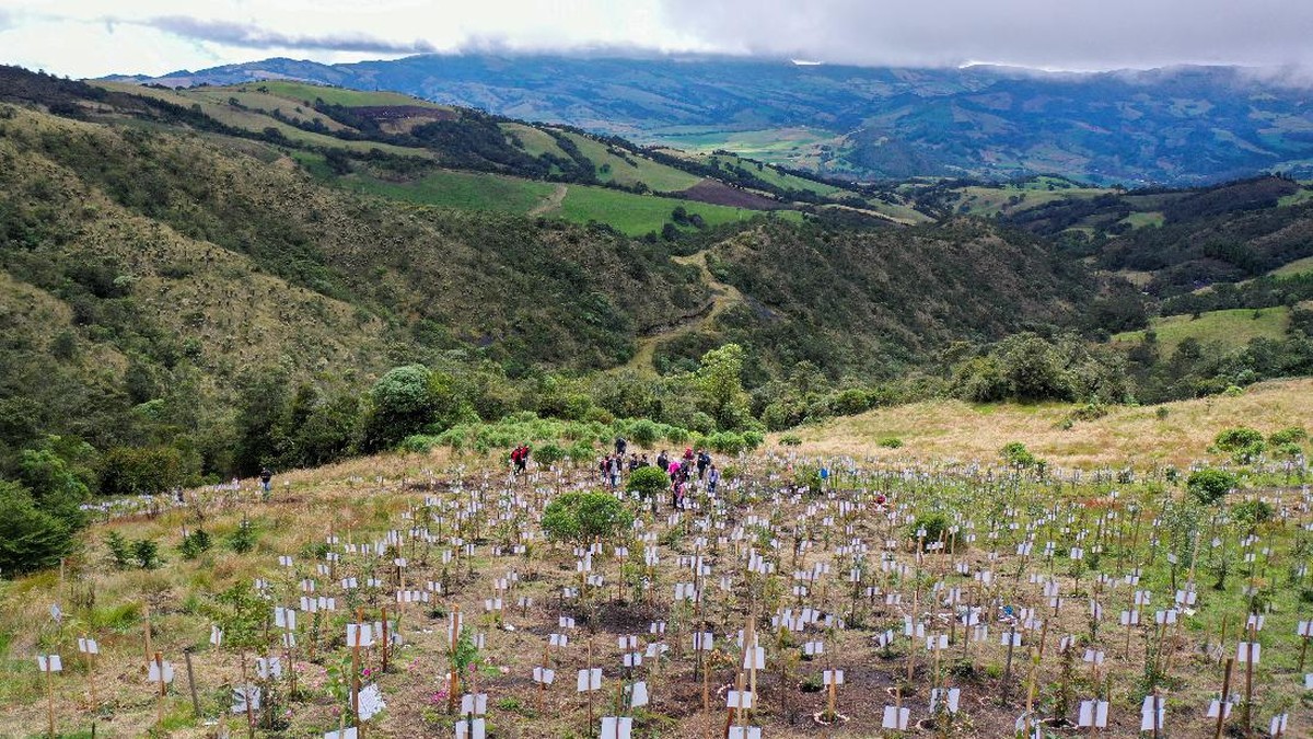 FOTO: Pilu Simpan Abu Jenazah Covid di Pegunungan Kolombia