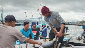 KKP Susun Aturan Implementasi JHT untuk Nelayan