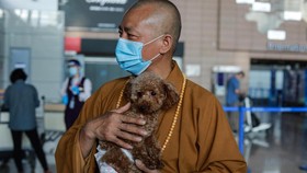 FOTO: Epos Biksu China Penyelamat 8.000 Anjing Jalanan