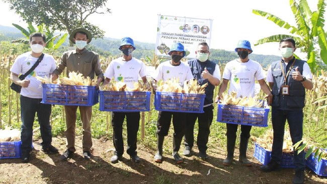bank bjb turut andil dalam mensukseskan program Petani Milenial melalui sejumlah dukungan, salah satunya lewat pendanaan dengan skema KUR bagi para petani.