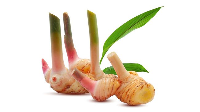 Lengkuas atau dalam bahasa Jawa disebut 'laos' biasa dimanfaatkan sebagai bumbu masakan. Namun di balik itu, ada beragam manfaat lengkuas untuk kesehatan.