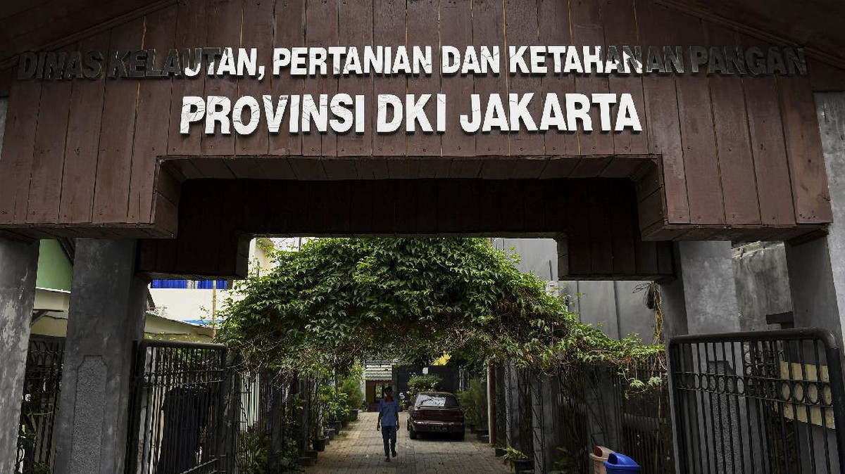 FOTO: Menyusuri Kebun Salak Condet, Sang Maskot Jakarta