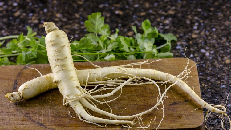 Fresh ginseng close up