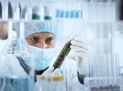 25 Ilmuwan Terbaik RI Versi AD Scientific Index 2022, Ada Quraish Shihab