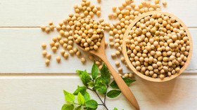 Protein dalam Kedelai Sama Efektifnya dengan Obat Penurun Kolesterol