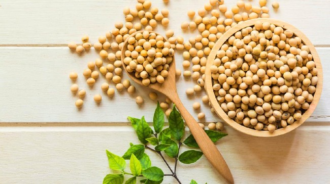 Protein dalam Kedelai Sama Efektifnya dengan Obat Penurun Kolesterol Studi menemukan kadar protein dalam kedelai sama efektifnya dengan obat penurun kolesterol.