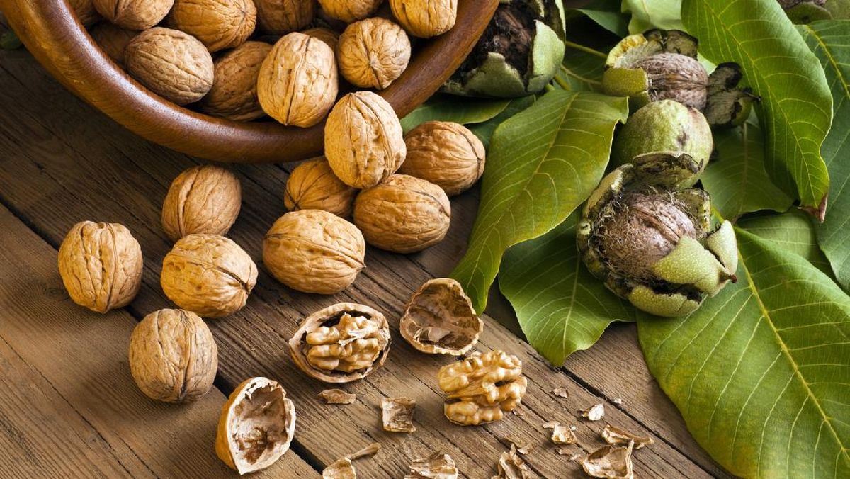 Memangnya Ada Makanan Enak Cegah Pikun? Ini 8 Pilihannya