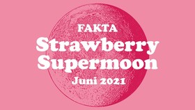 INFOGRAFIS: Fakta Strawberry Supermoon 25 Juni 2021