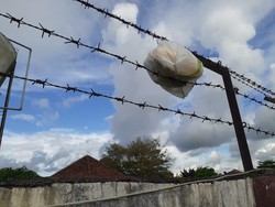 Bungkusan Berisi 1,2 Kg Ganja Tersangkut di Kawat Berduri Lapas Porong