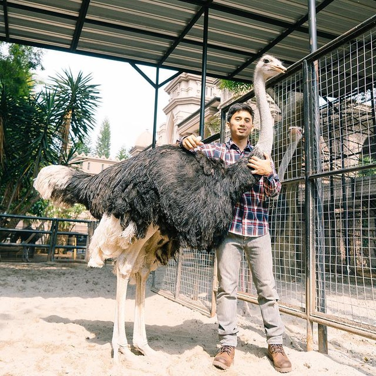 Alshad Kautsar Ahmad sepupu Raffi Ahmad memiliki hobi pelihara hewan liar&period; Yuk intip potret Alshad dan peliharaannya yang tak biasa&excl;