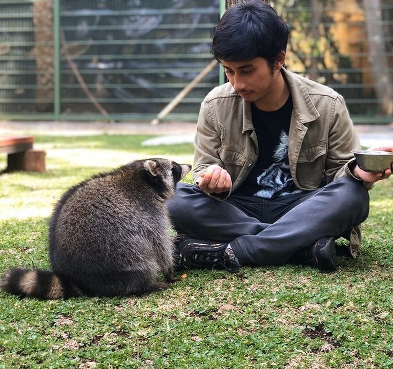 Alshad Kautsar Ahmad sepupu Raffi Ahmad memiliki hobi pelihara hewan liar. Yuk intip potret Alshad dan peliharaannya yang tak biasa!